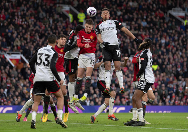 森林狼最终 森林狼最终